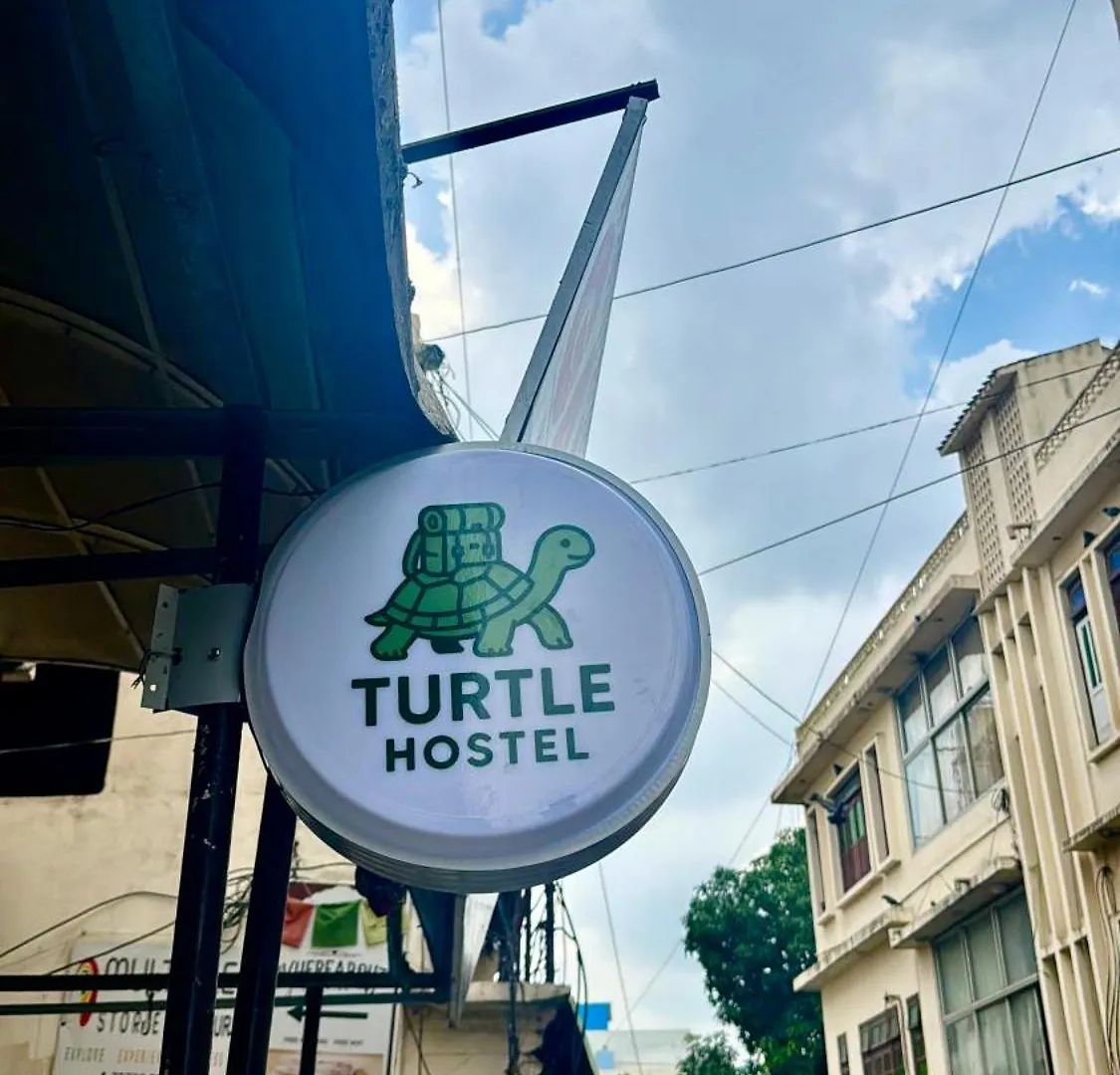 Turtle Hostel ウダイプル 0*,  インド