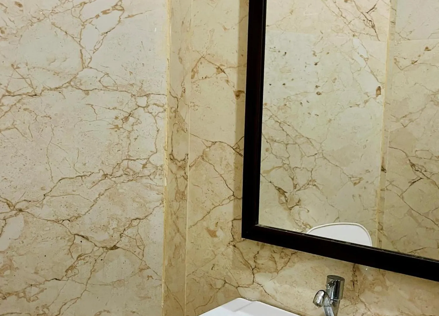 Turtle Hostel ウダイプル インド